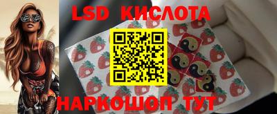 ПСИЛОЦИБИНОВЫЕ ГРИБЫ Заводоуковск