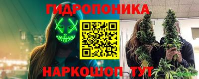 шишки Жуковский